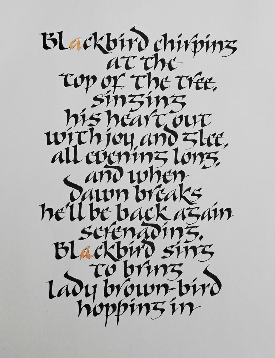 blackbird